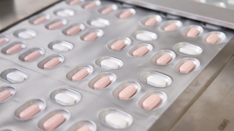 Снимка: архив, БГНЕС