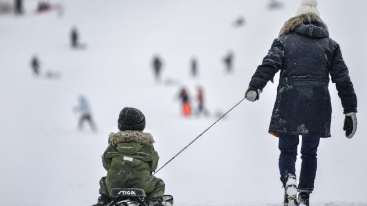 Снимка: архив, БГНЕС