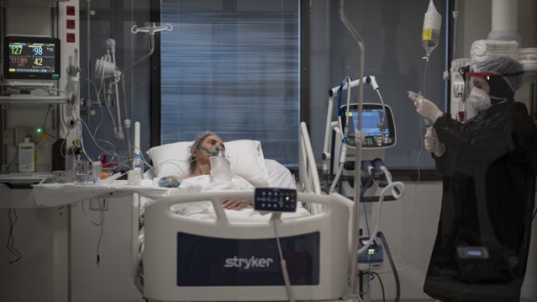 Снимка: архив, БГНЕС