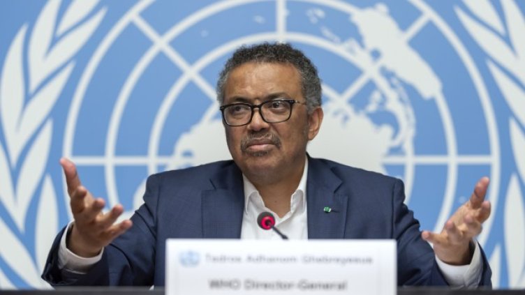 Снимка: архив, БГНЕС