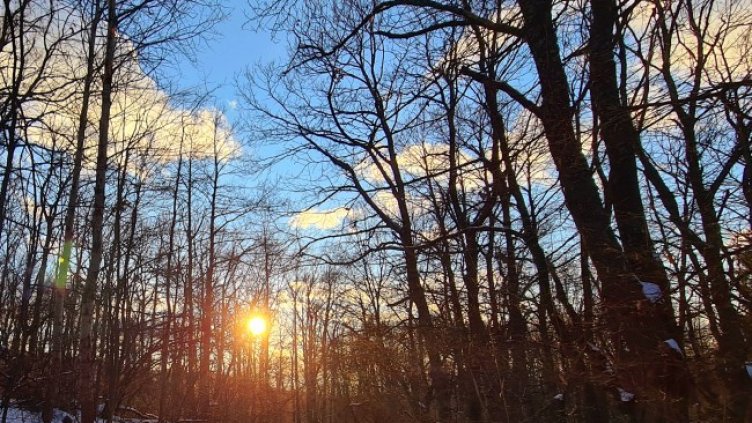 Снимка: архив, БГНЕС