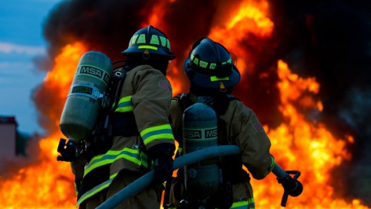 Снимка: Pixabay