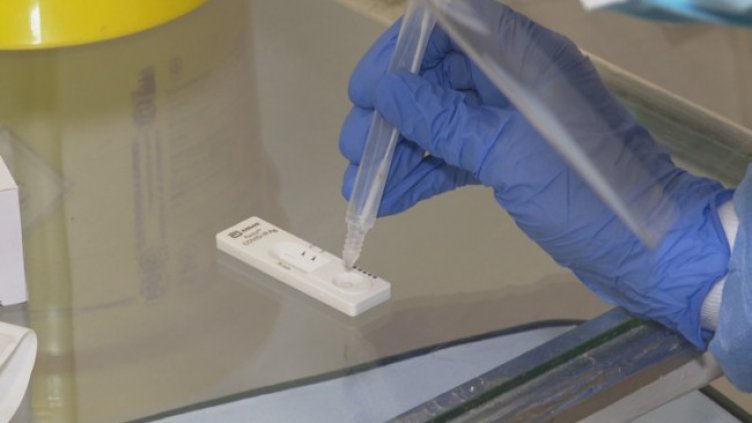 Снимка: БГНЕС