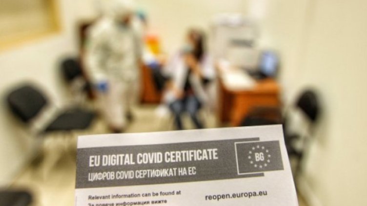 Снимка: Димитър Кьосемарлиев, Dnes.bg