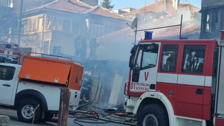 Снимка: БГНЕС