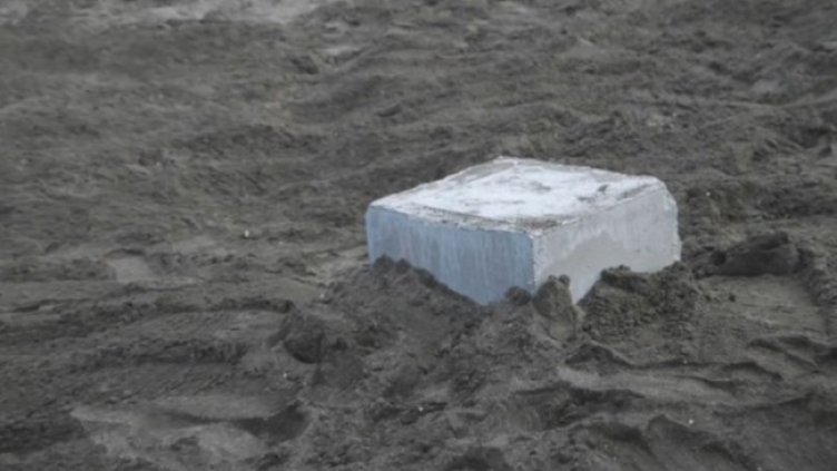 Снимка: Кадър bTV