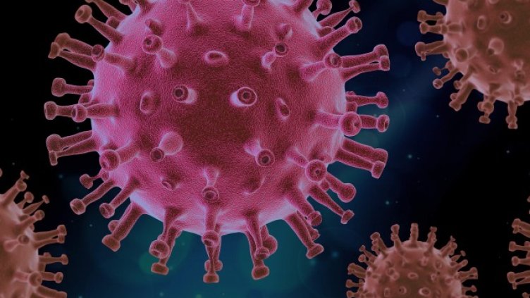 Снимка: Pixabay