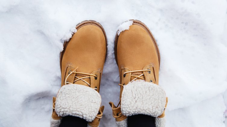 Снимка: iStock/mrzvovka