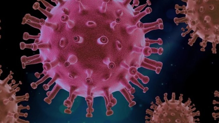 Снимка: Pixabay