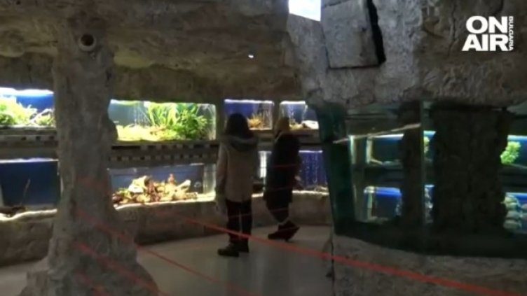 Снимка: Bulgaria ON AIR