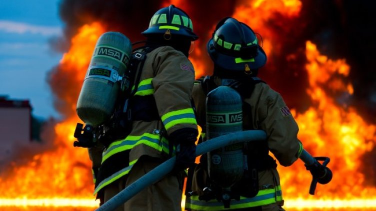 Снимка: Pixabay