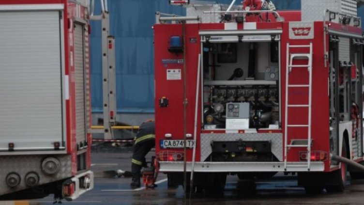 Снимка: Димитър Кьосемарлиев, Dnes.bg, архив