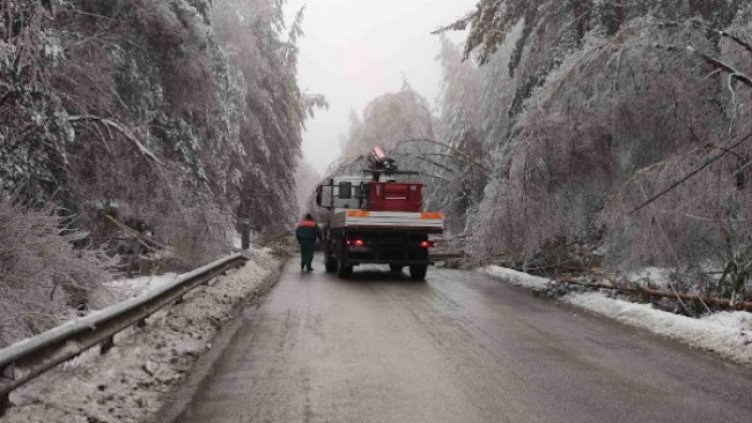 Снимка: БГНЕС