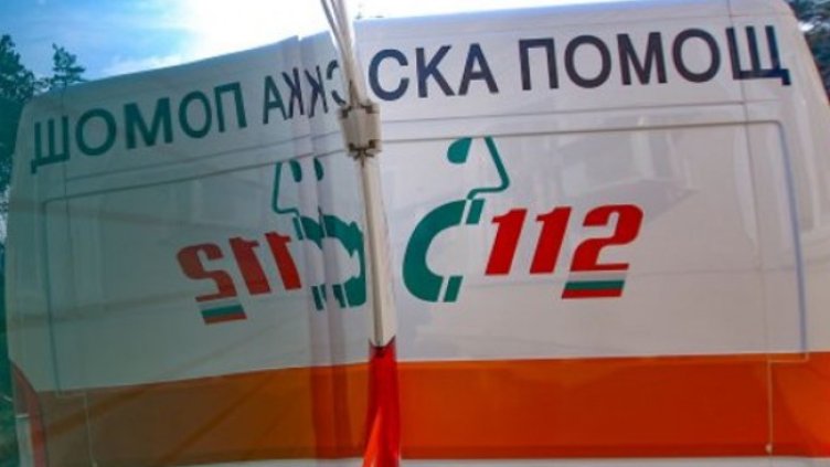 Снимка: Димитър Кьосемарлиев, Dnes.bg