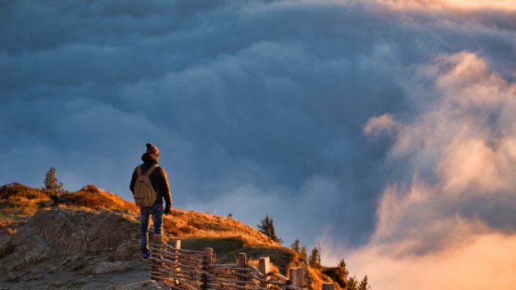 Снимка: Pixabay