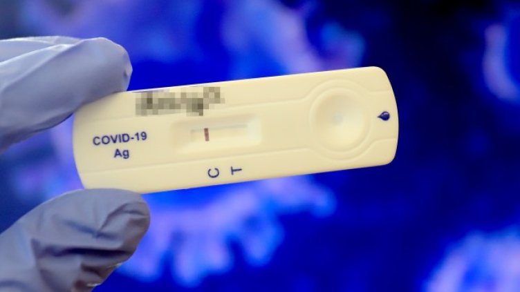 Снимка: архив, БГНЕС