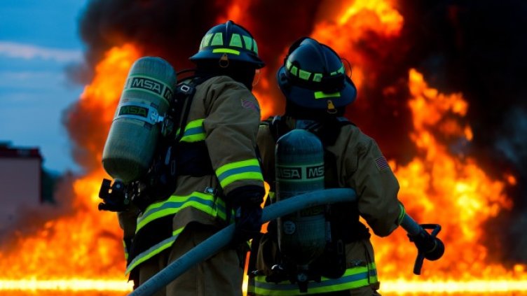 Снимка: Pixabay