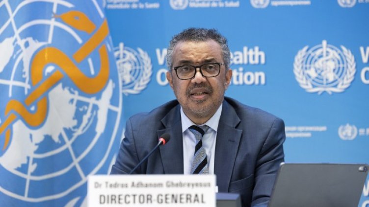 Снимка: архив, БГНЕС