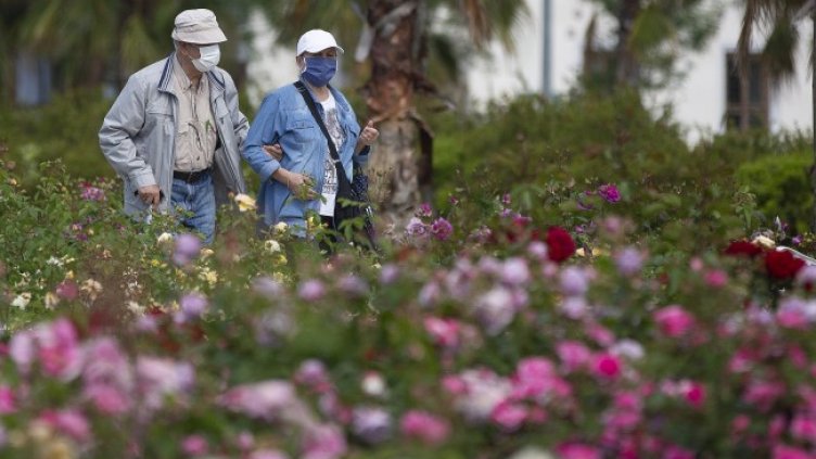 Снимка: архив, БГНЕС