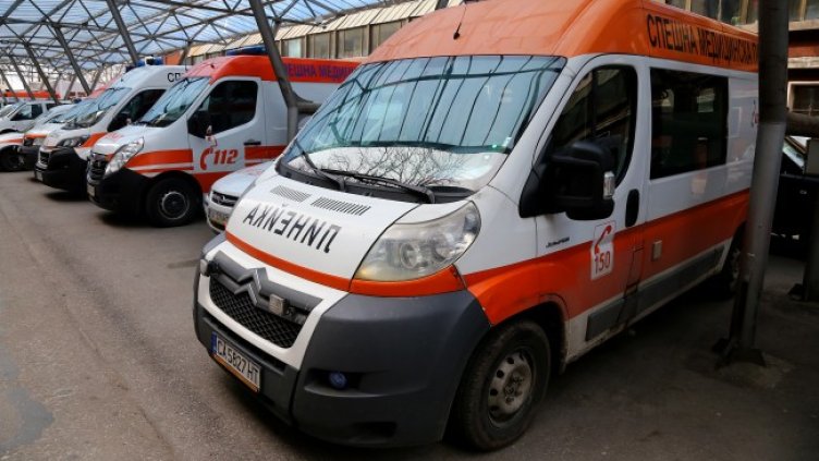 Снимка: архив, БГНЕС