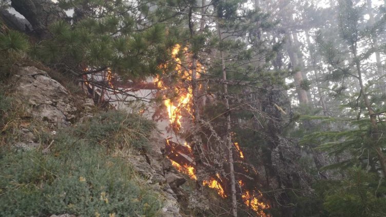 Снимка: архив, БГНЕС