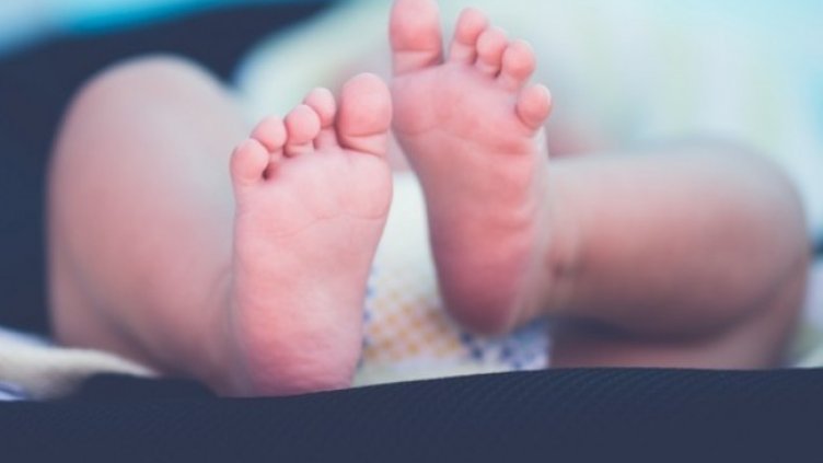 Снимка: Pixabay