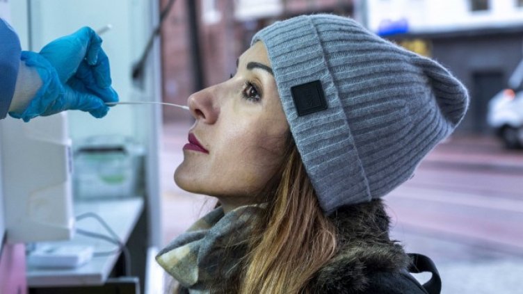 Снимка: архив, БГНЕС