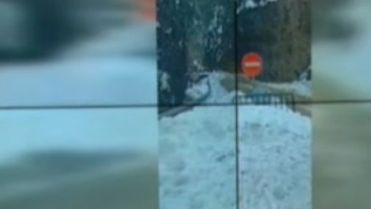 Снимка: Кадър, БНТ