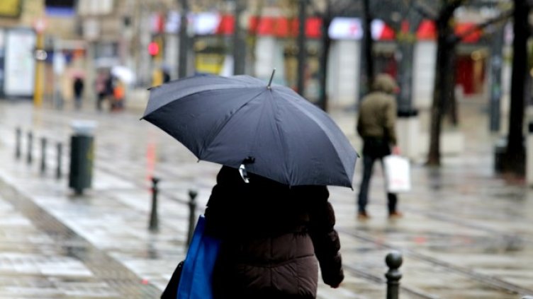 Снимка: архив, БГНЕС