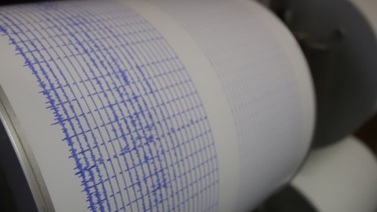 Снимка: архив, БГНЕС