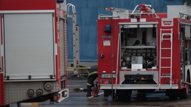 Снимка: Димитър Кьосемарлиев, Dnes.bg