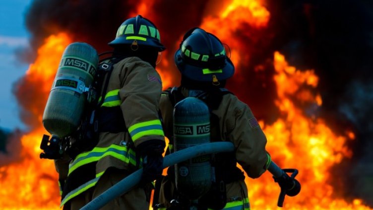 Снимка: Pixabay