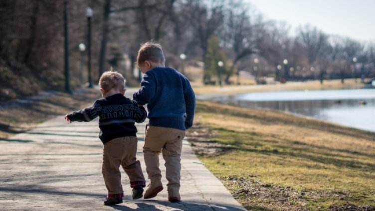 Снимка: Pixabay