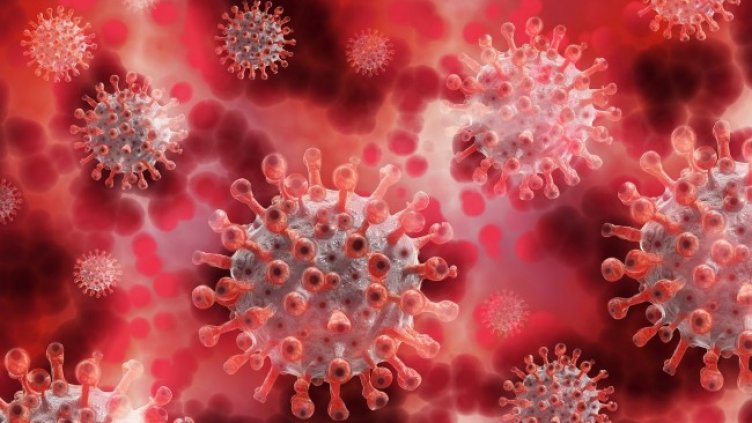 Снимка: Pixabay