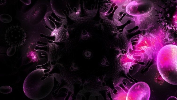 Снимка: Pixabay