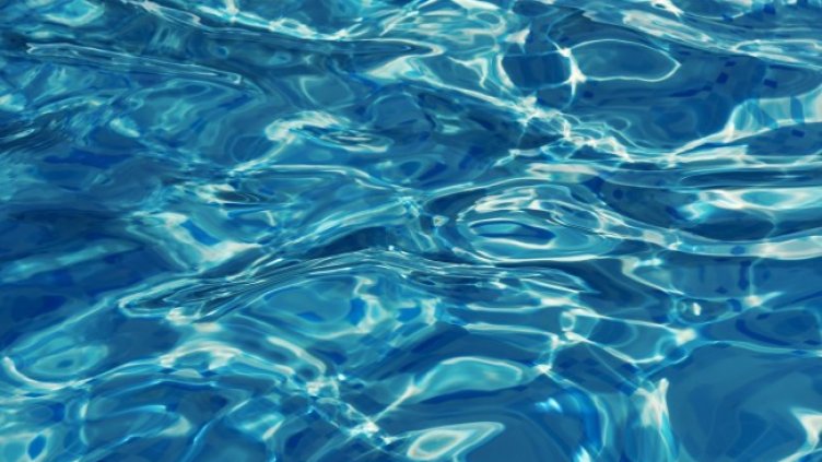 Снимка: Pixabay