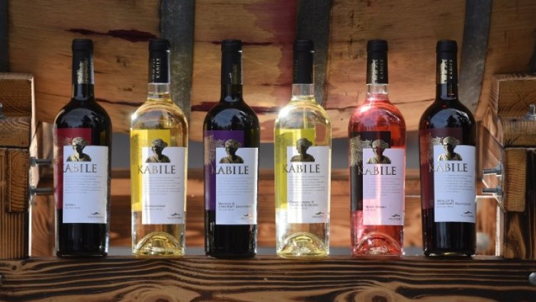 “Вила Ямбол“ спечели най-много отличия за България от престижен френски конкурс