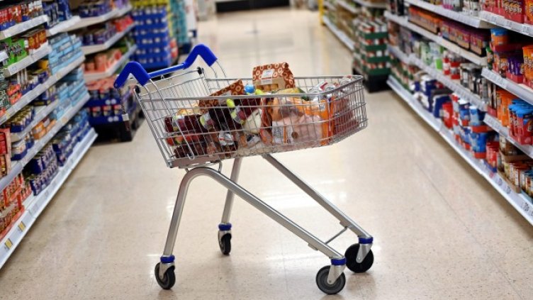 Снимка: архив, БГНЕС