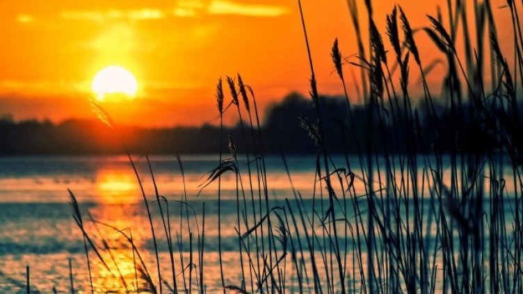 Снимка: Pixabay