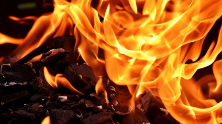 Снимка: Pixabay