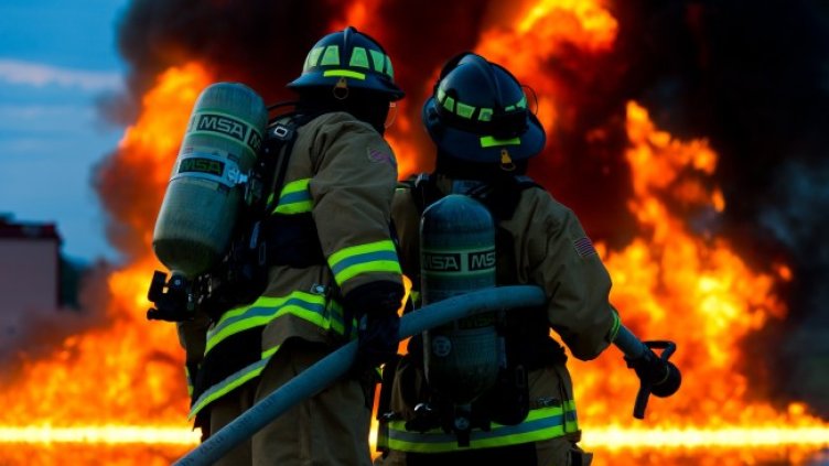 Снимка: Pixabay