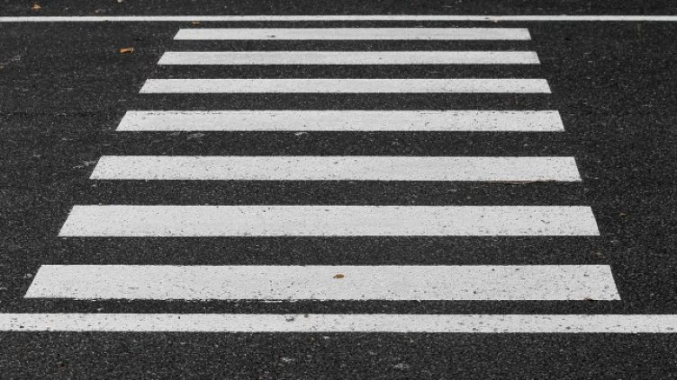 Снимка: Pixabay