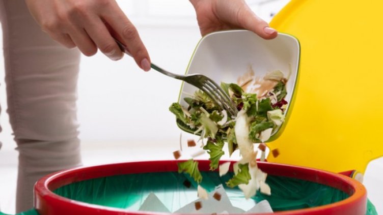 Снимка: Istock