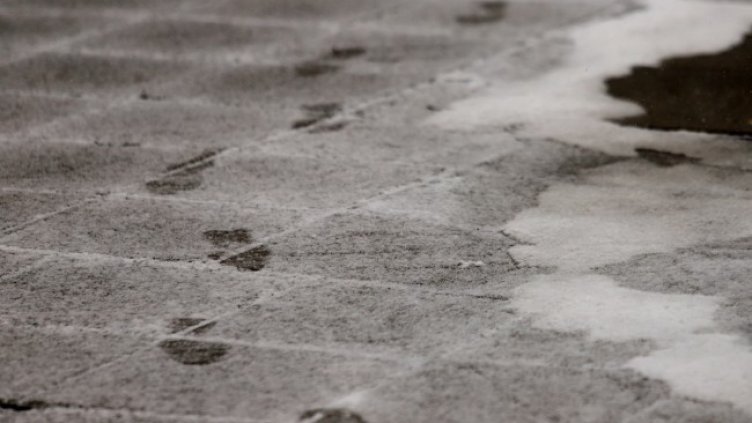 Снимка: архив, БГНЕС