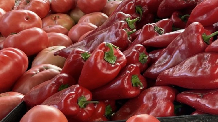 Снимка: архив, БГНЕС