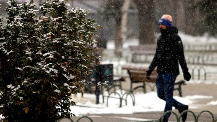 Снимка: архив, БГНЕС