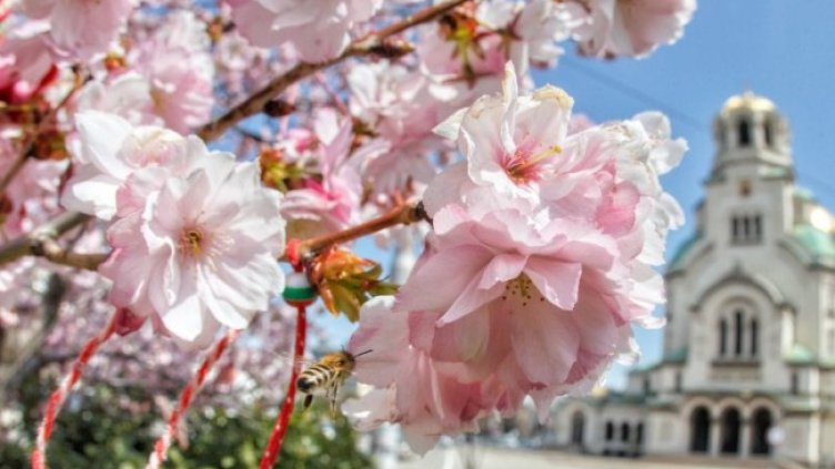 Снимка: Димитър Кьосемарлиев, Dnes.bg