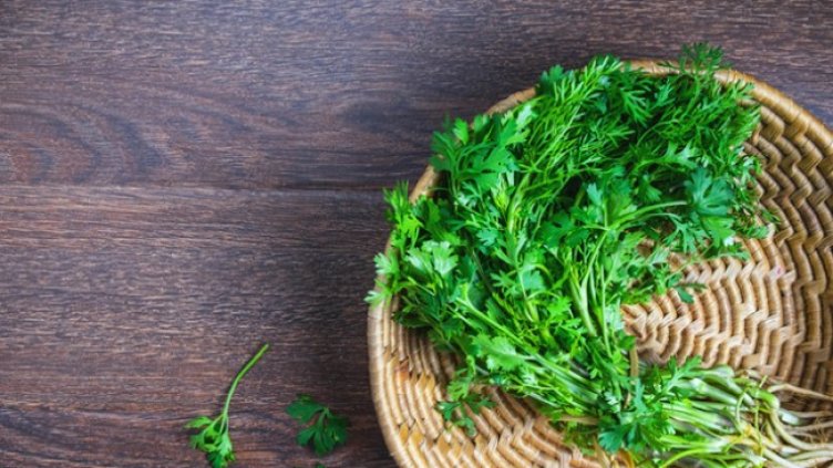 Снимка: Istock