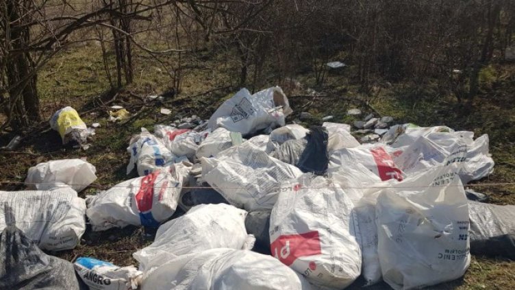 Снимка: Helpbook