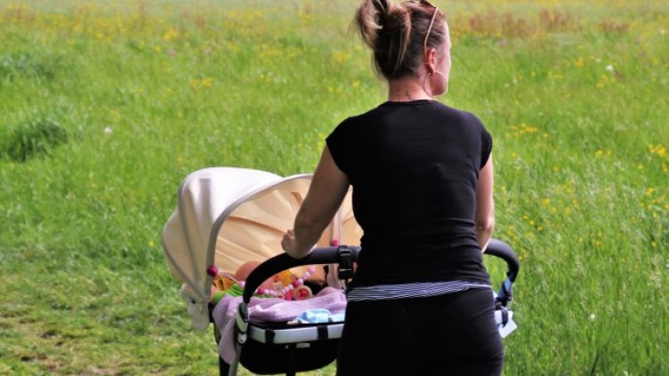 Снимка: Pixabay/pasja1000